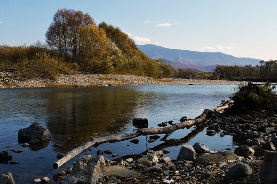 Autumn in Primorye Territory