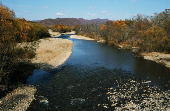 Autumn in Primorye Territory