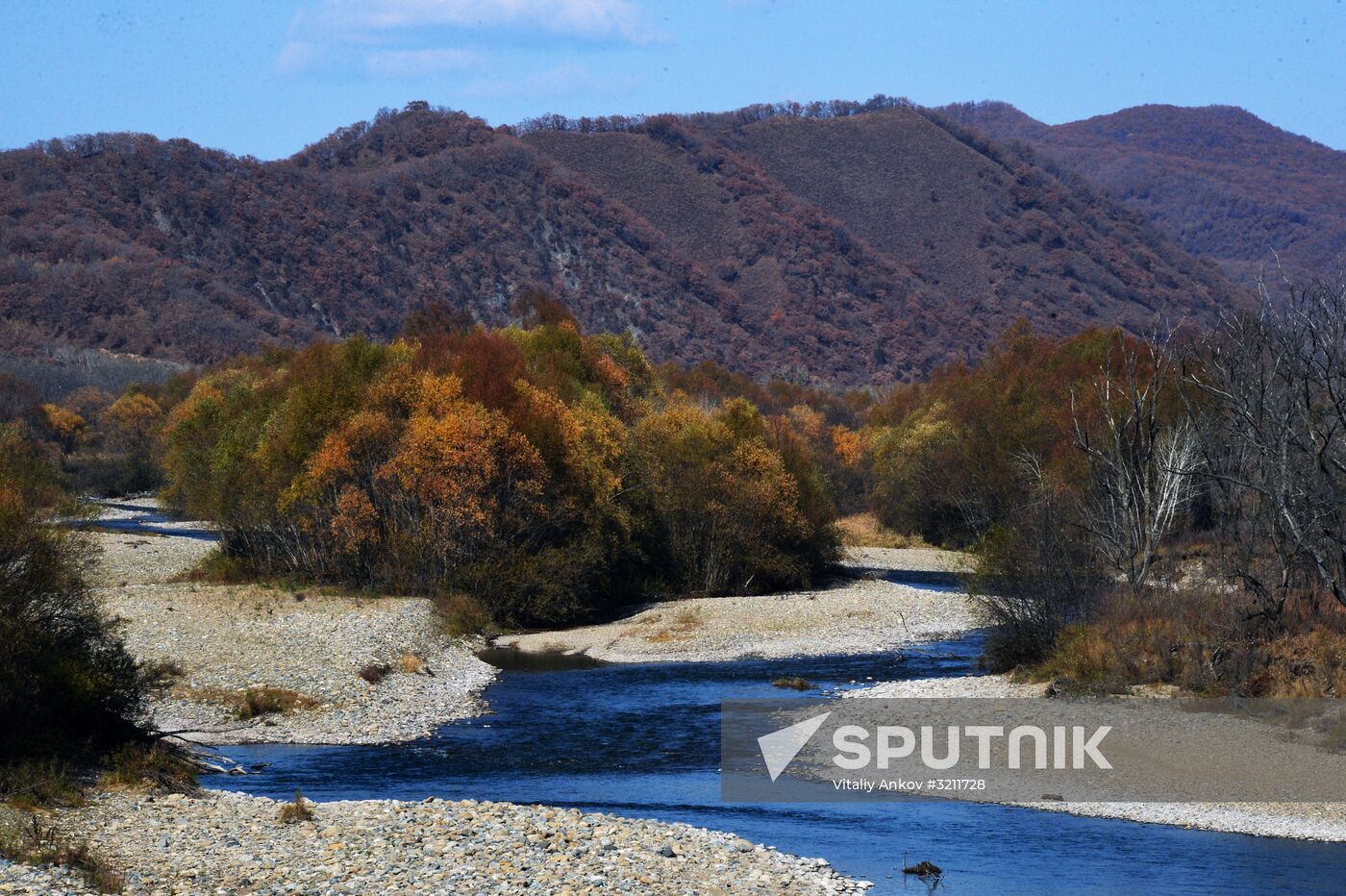 Autumn in Primorye Territory