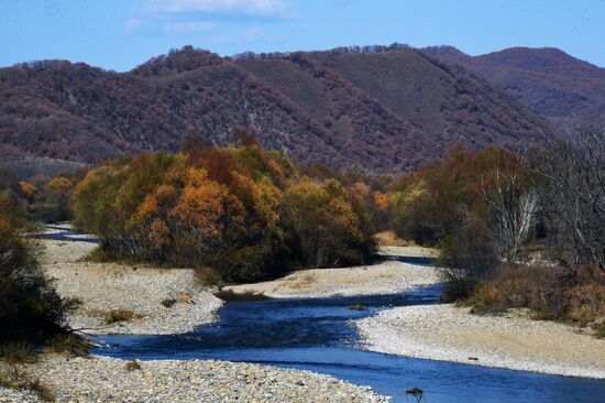 Autumn in Primorye Territory