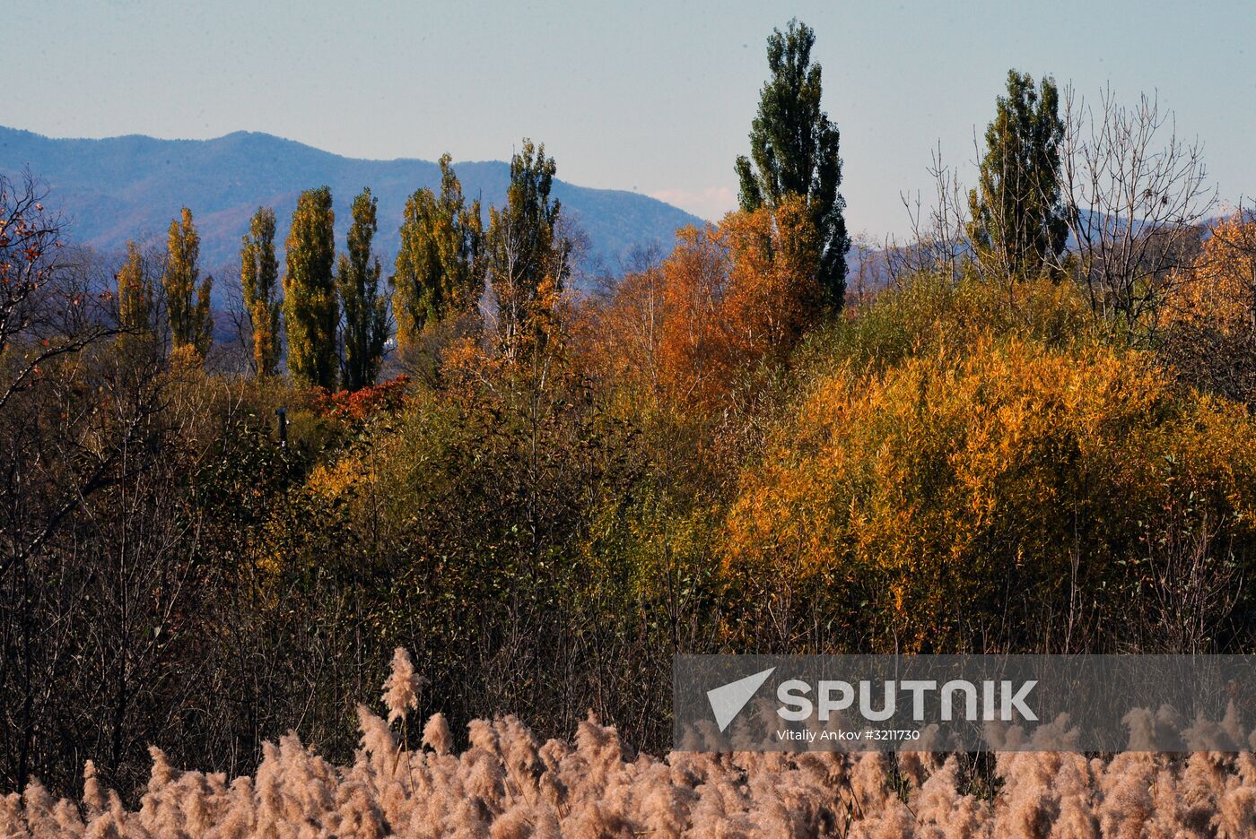 Autumn in Primorye Territory