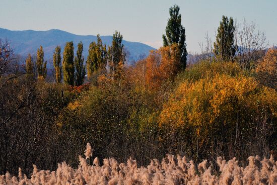 Autumn in Primorye Territory