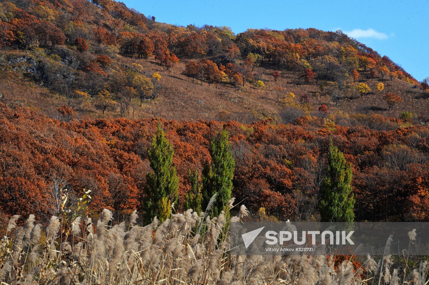 Autumn in Primorye Territory