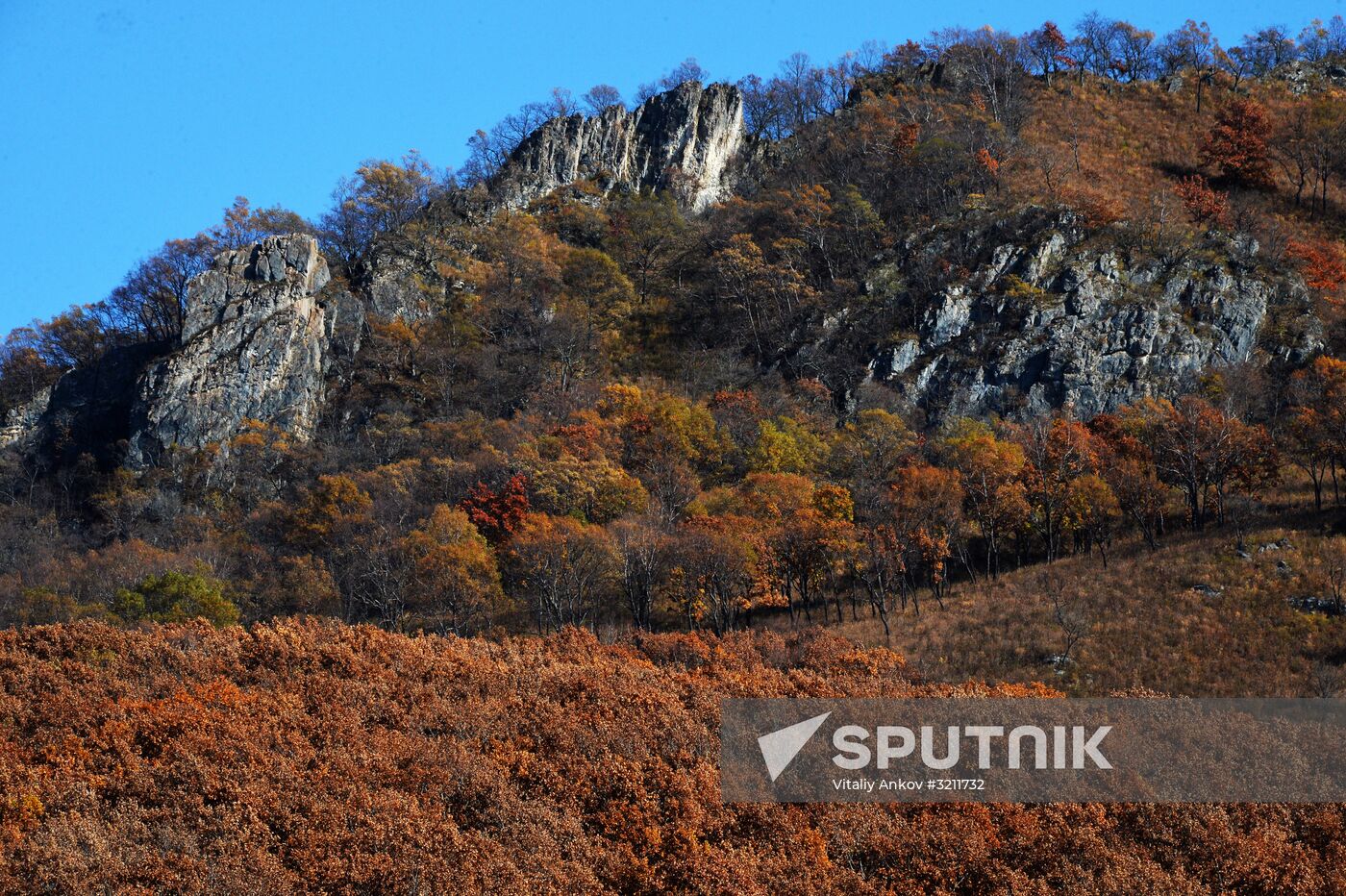 Autumn in Primorye Territory