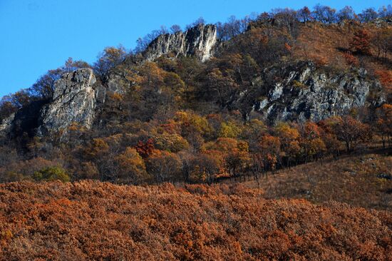 Autumn in Primorye Territory