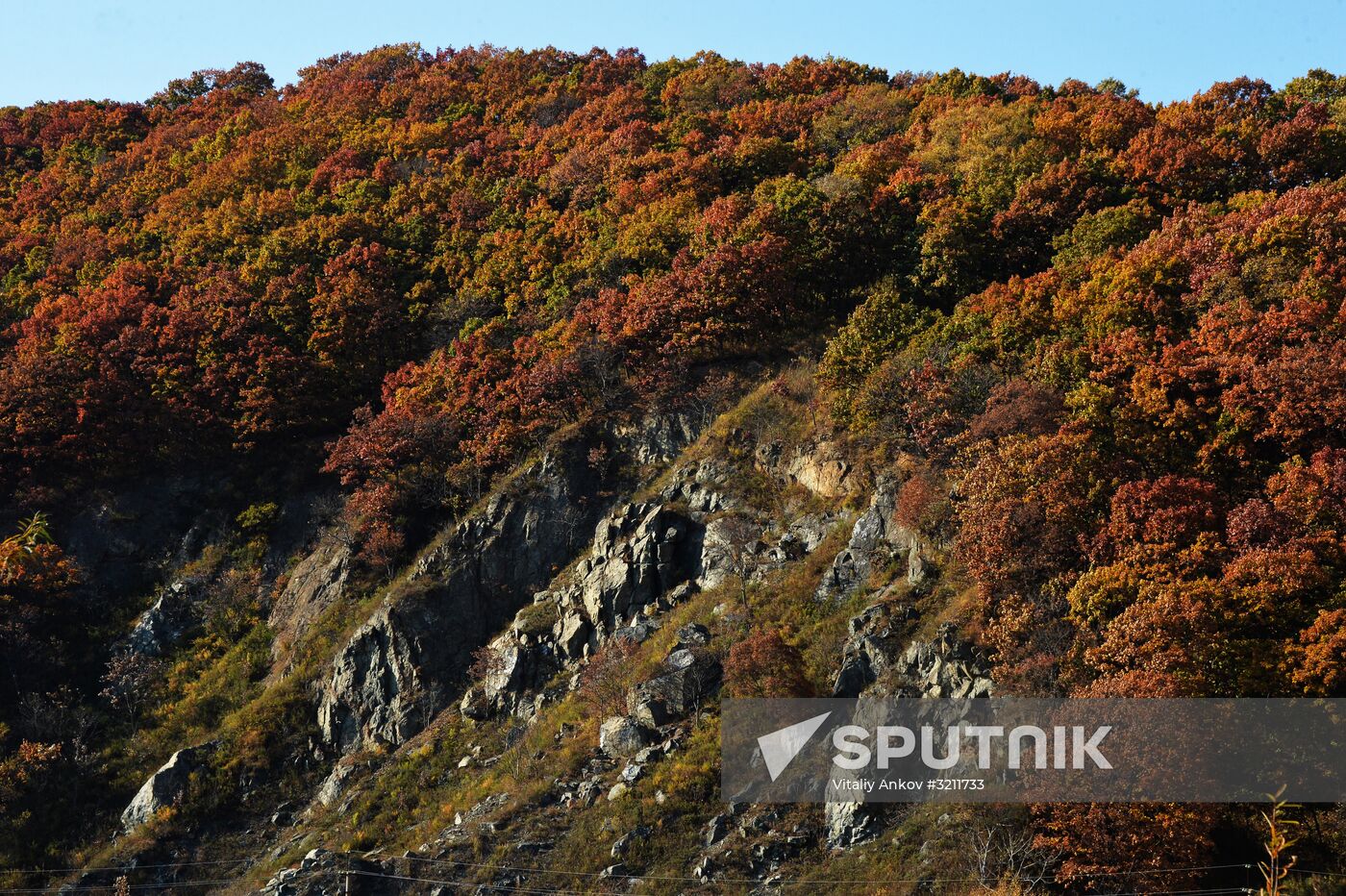 Autumn in Primorye Territory