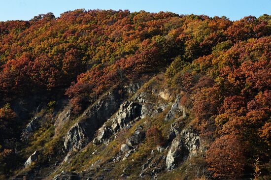 Autumn in Primorye Territory