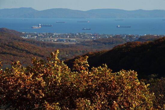 Autumn in Primorye Territory