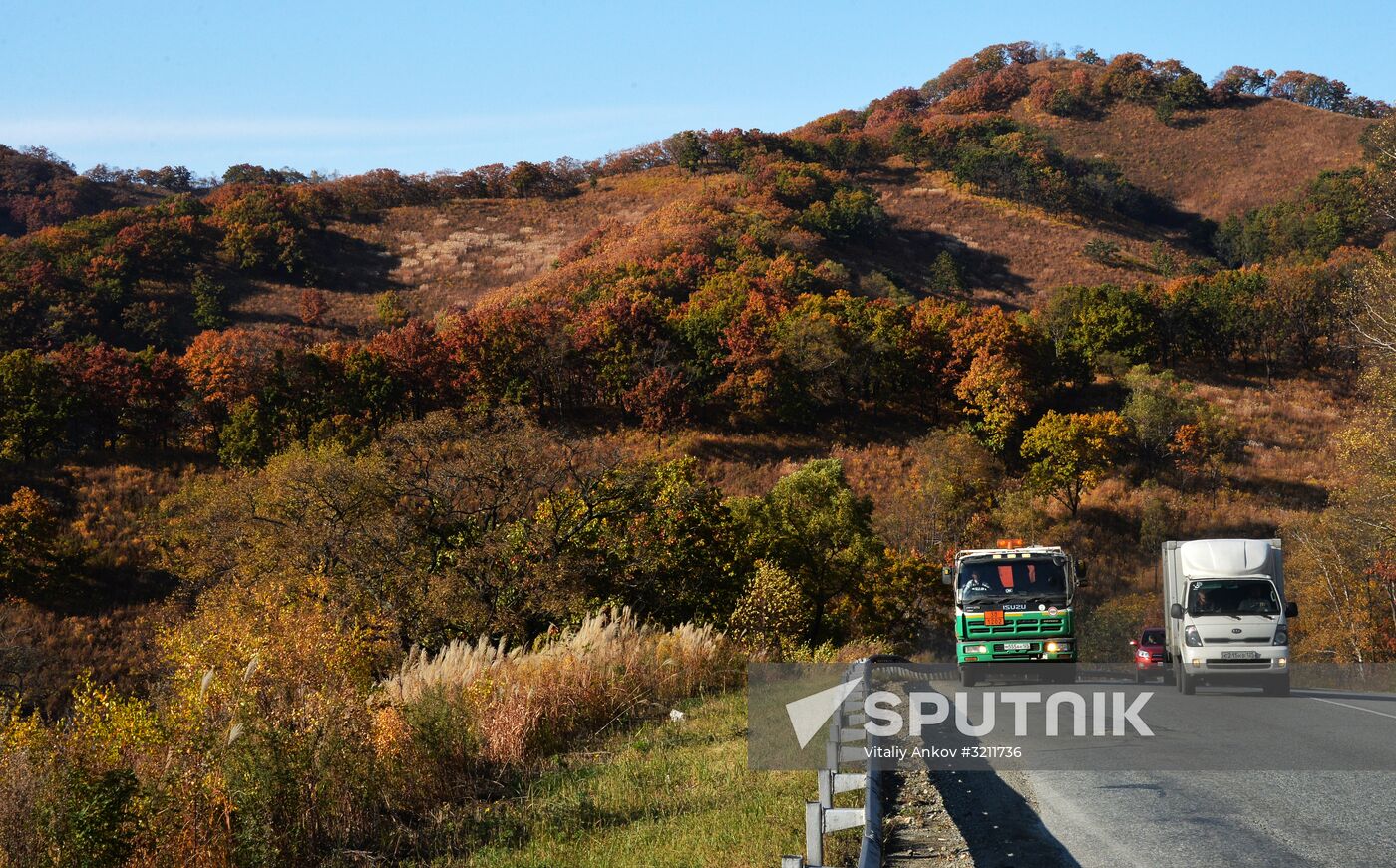 Autumn in Primorye Territory