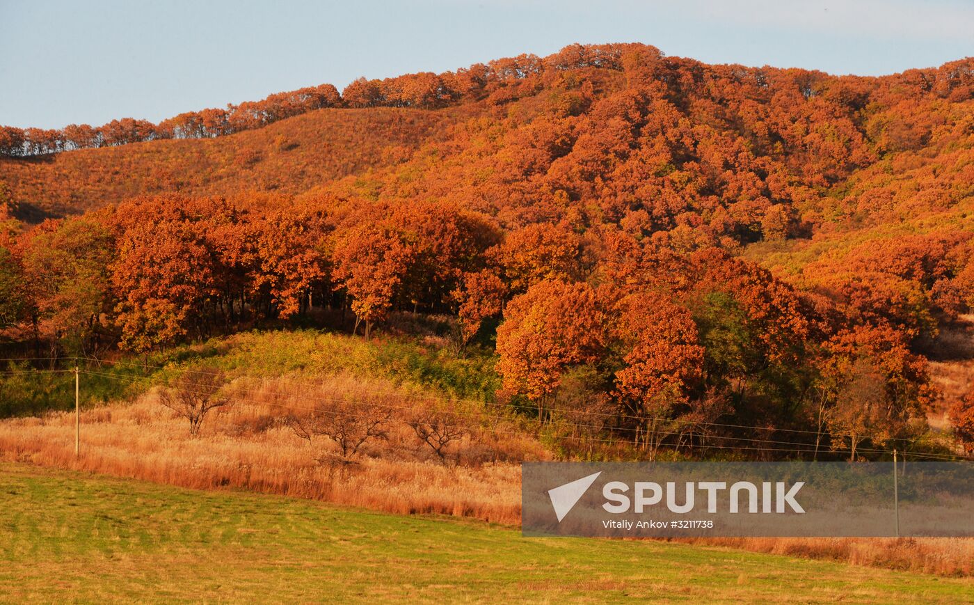 Autumn in Primorye Territory