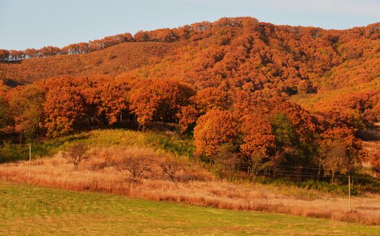 Autumn in Primorye Territory