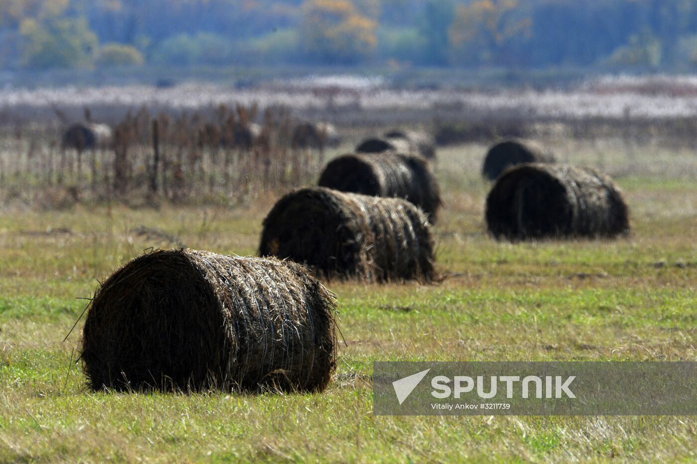 Autumn in Primorye Territory