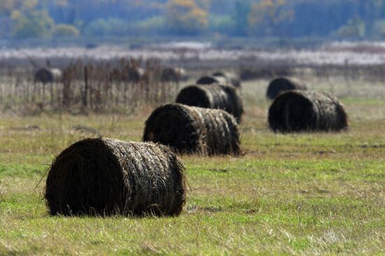 Autumn in Primorye Territory