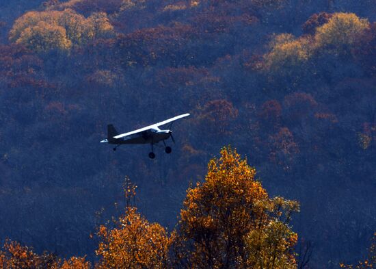 Autumn in Primorye Territory