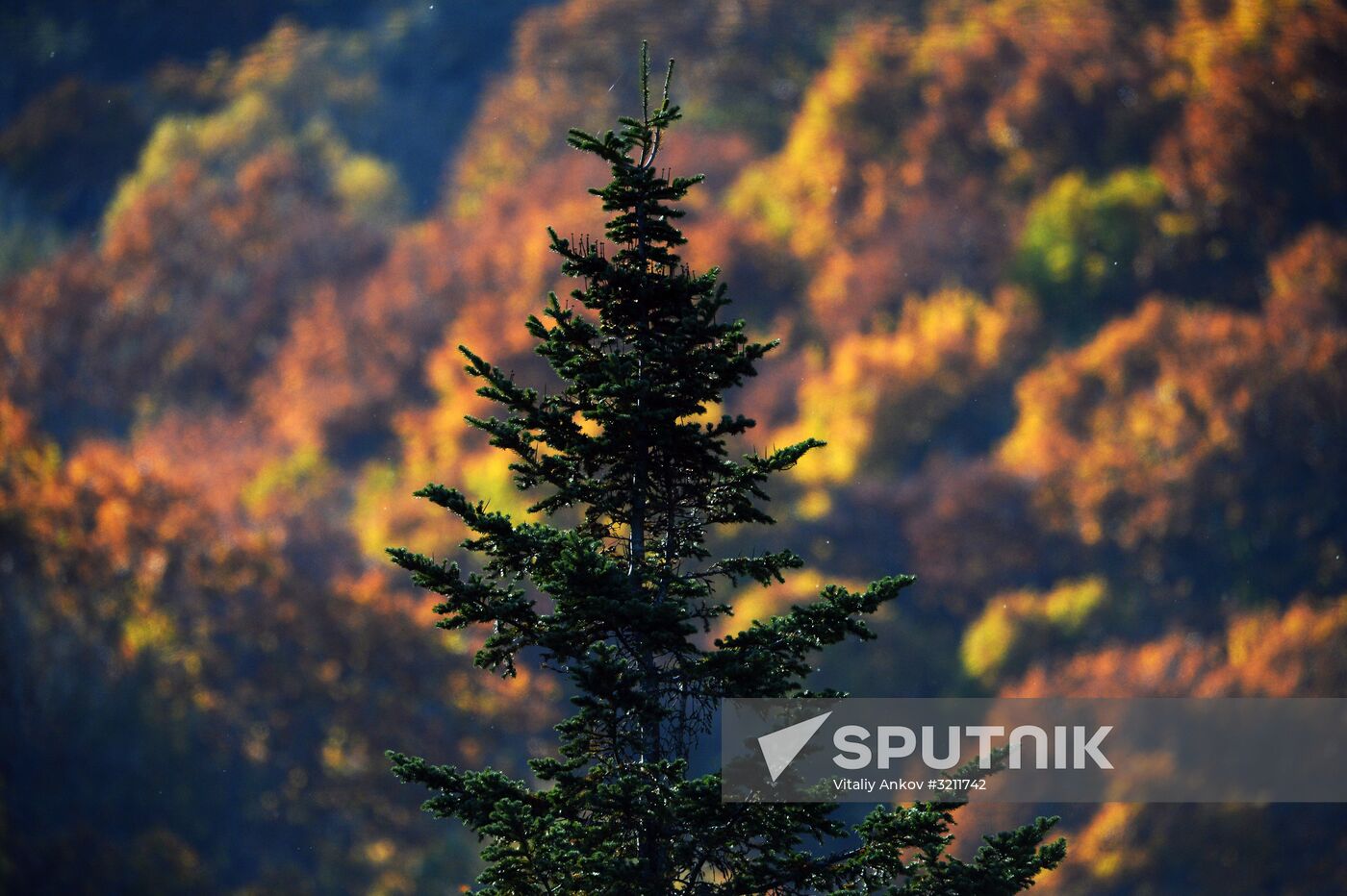 Autumn in Primorye Territory