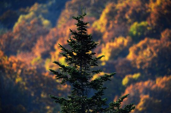 Autumn in Primorye Territory