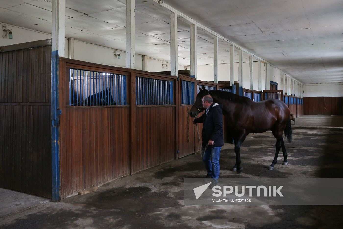 Voskhod Stud Farm in Krasnodar Territory