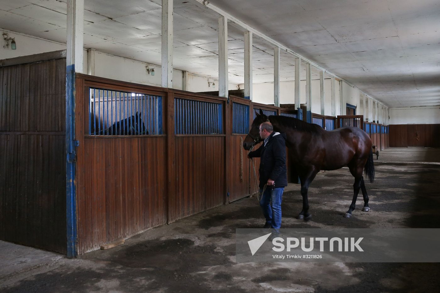 Voskhod Stud Farm in Krasnodar Territory