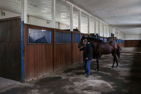 Voskhod Stud Farm in Krasnodar Territory