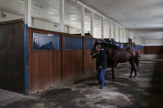 Voskhod Stud Farm in Krasnodar Territory