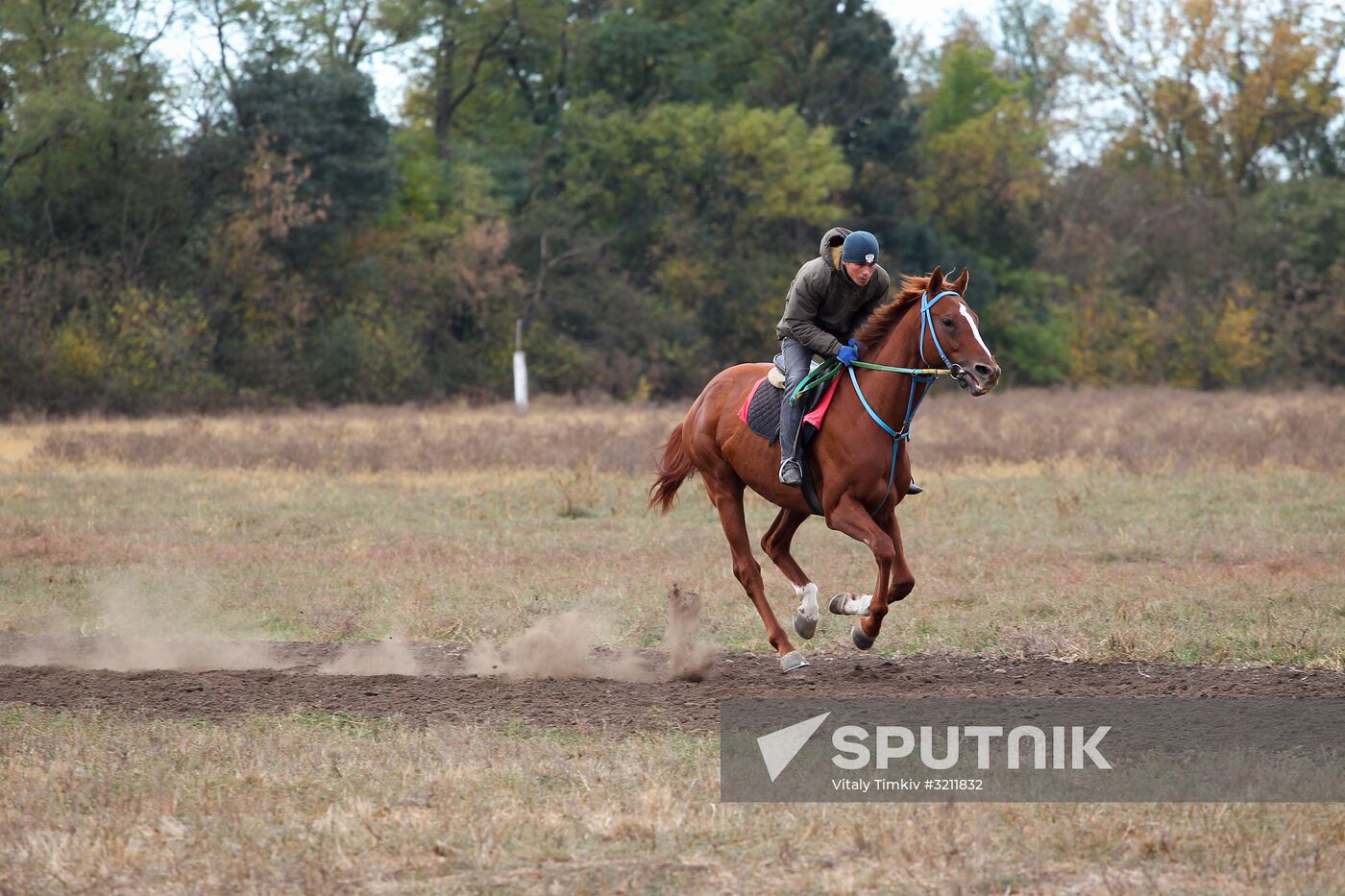 Voskhod Stud Farm in Krasnodar Territory