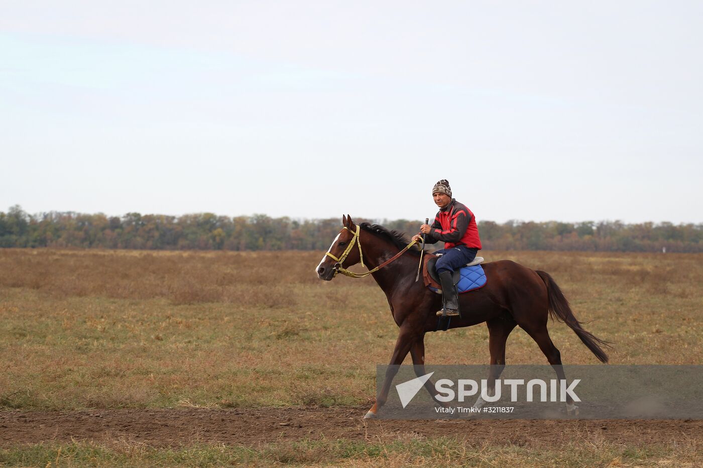 Voskhod Stud Farm in Krasnodar Territory