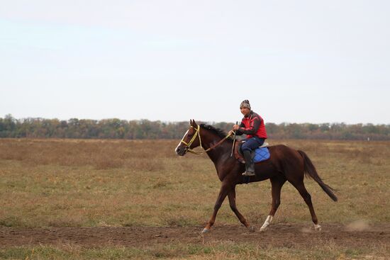 Voskhod Stud Farm in Krasnodar Territory