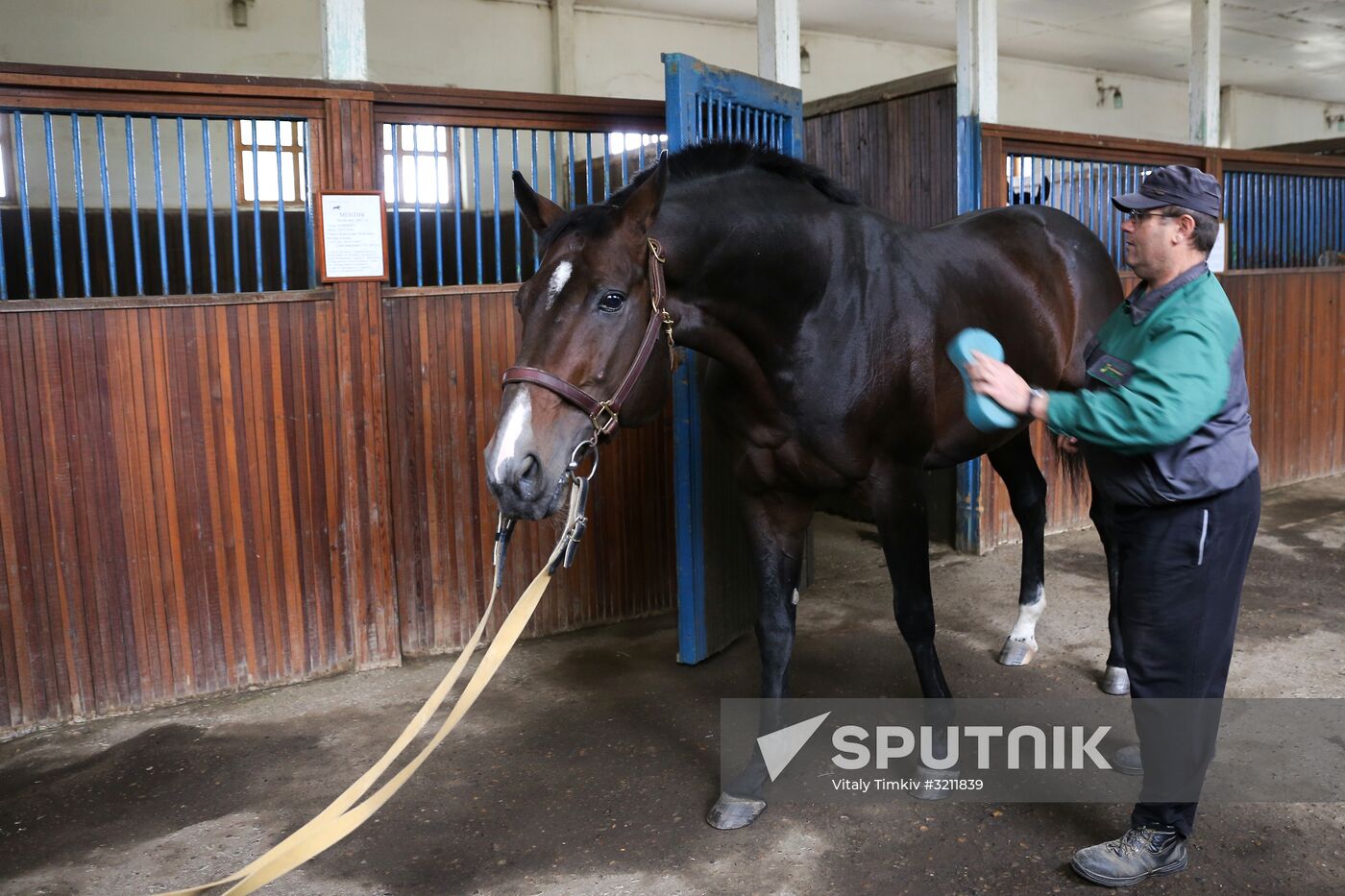 Voskhod Stud Farm in Krasnodar Territory