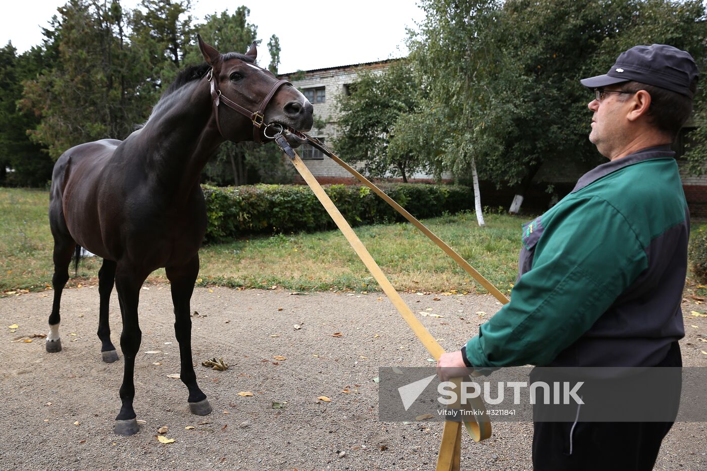 Voskhod Stud Farm in Krasnodar Territory