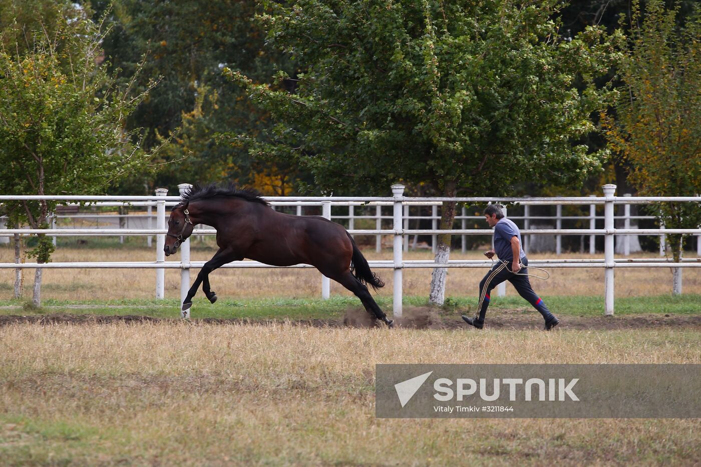 Voskhod Stud Farm in Krasnodar Territory