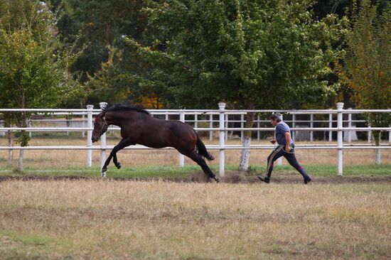Voskhod Stud Farm in Krasnodar Territory