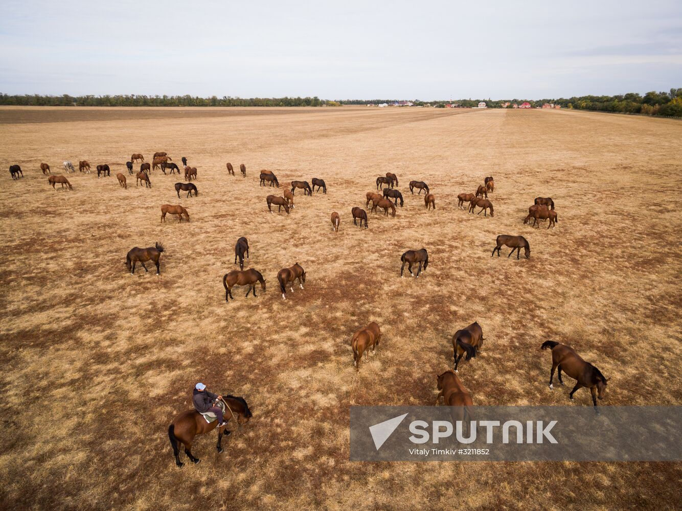 Voskhod Stud Farm in Krasnodar Territory