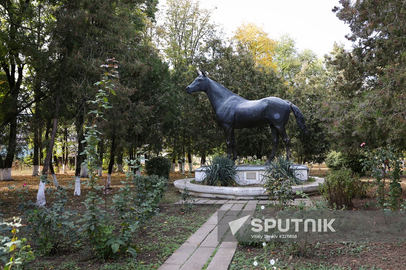 Voskhod Stud Farm in Krasnodar Territory