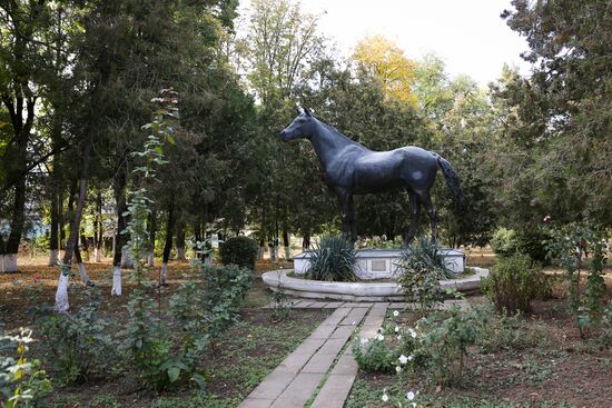 Voskhod Stud Farm in Krasnodar Territory