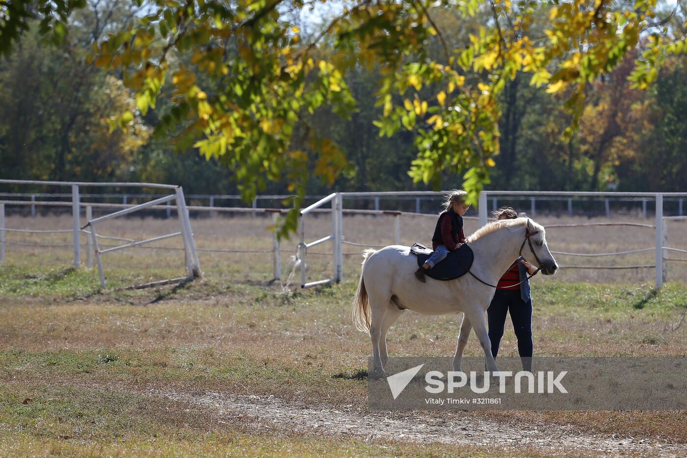 Voskhod Stud Farm in Krasnodar Region