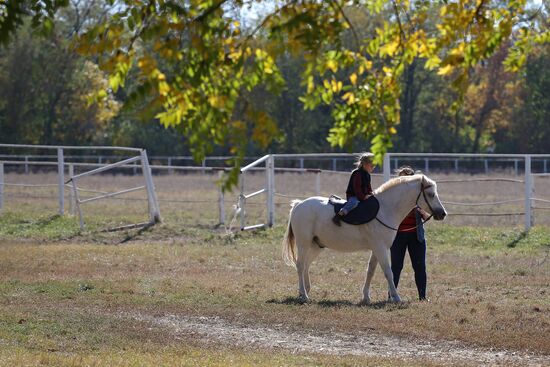 Voskhod Stud Farm in Krasnodar Region