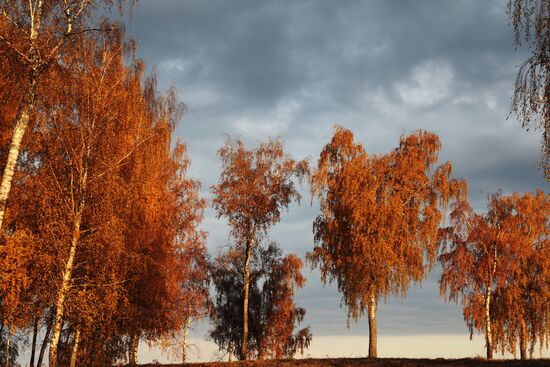 Golden autumn in Plyos, Russia