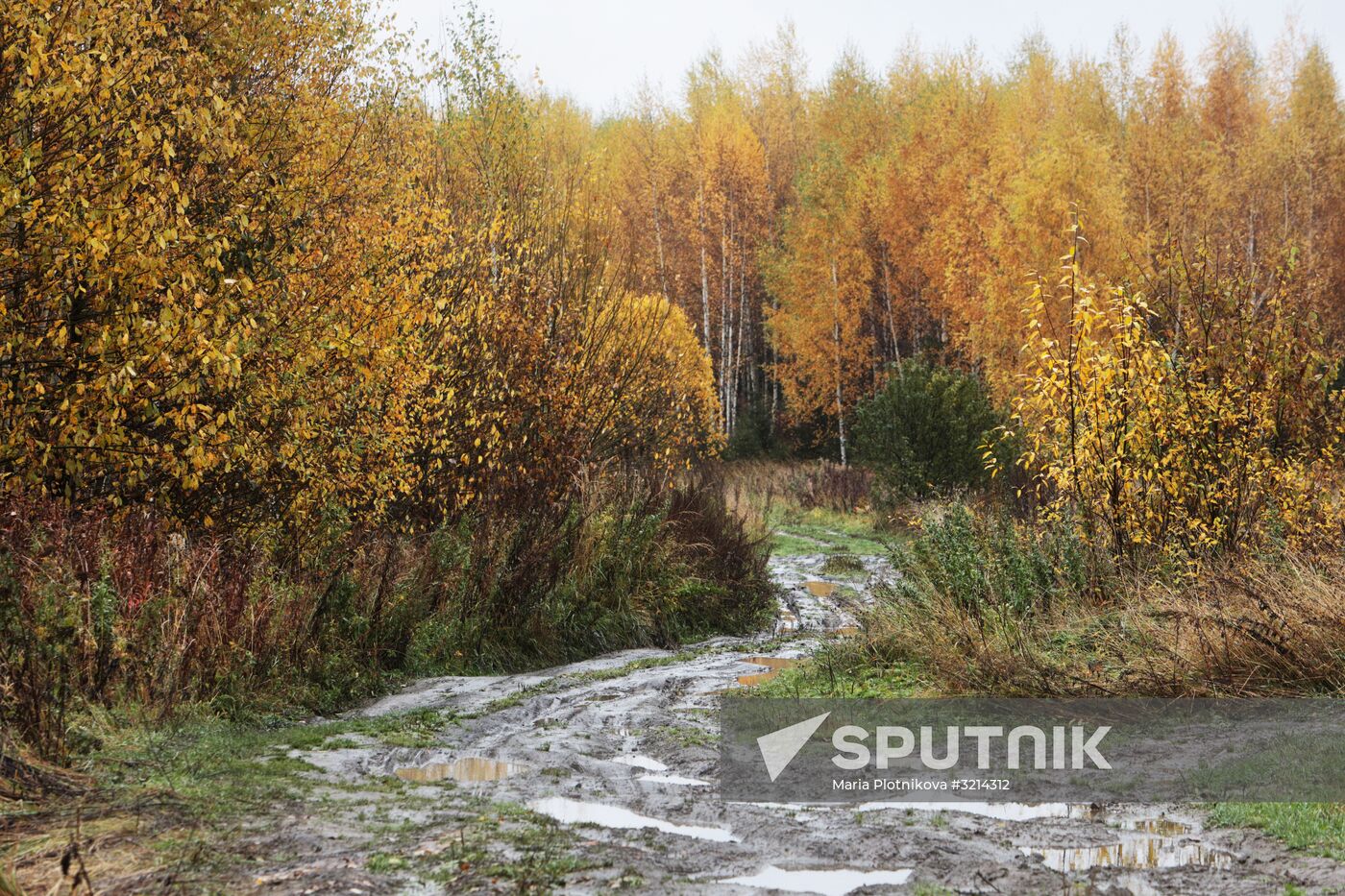 Golden autumn in Plyos, Russia