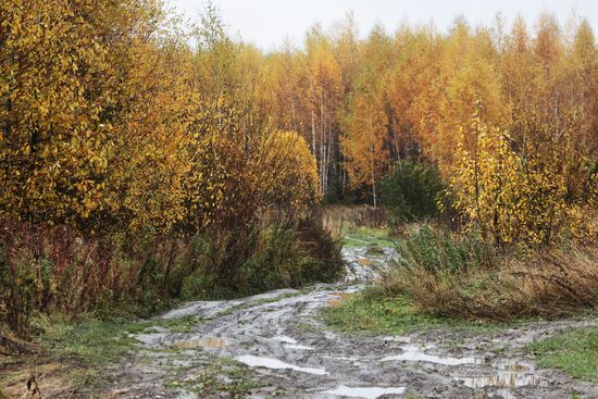 Golden autumn in Plyos, Russia