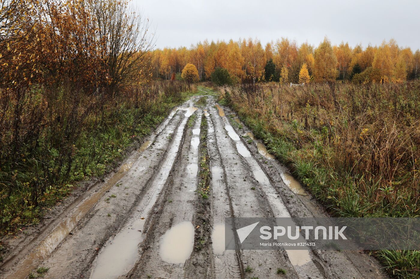 Golden autumn in Plyos, Russia