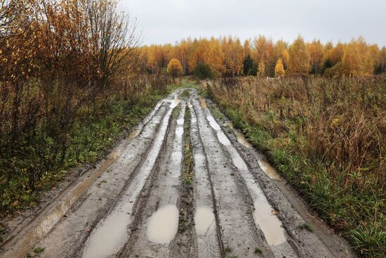 Golden autumn in Plyos, Russia