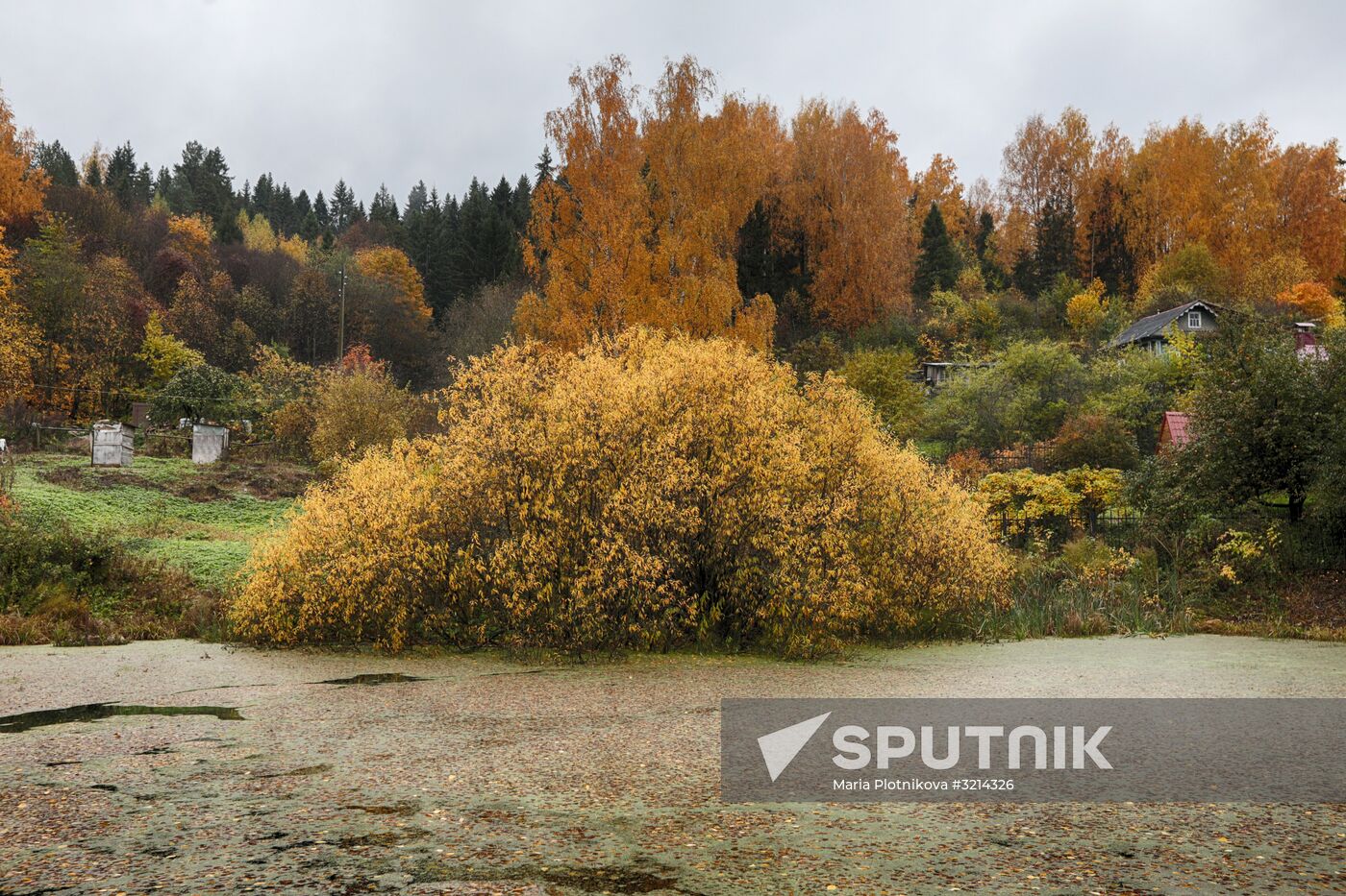 Golden autumn in Plyos, Russia