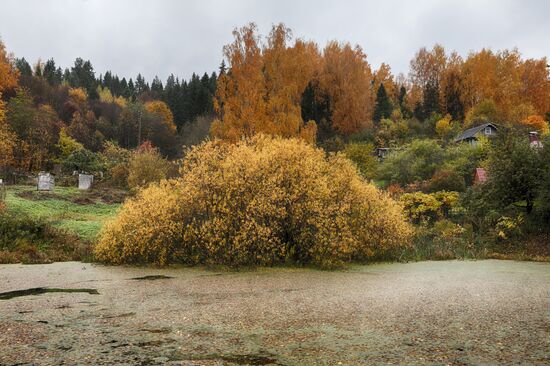 Golden autumn in Plyos, Russia