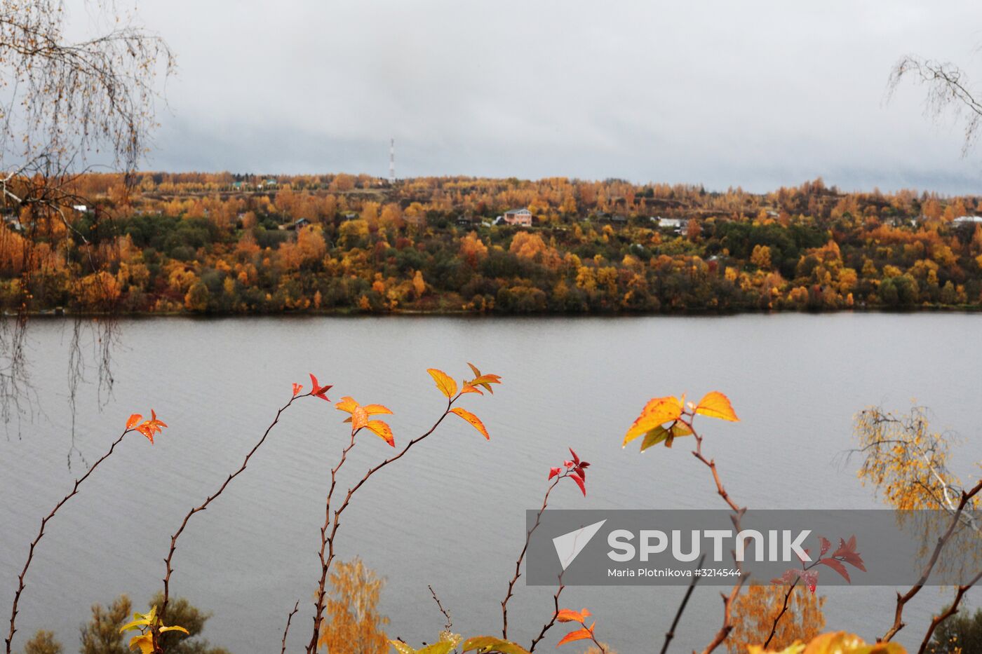 Golden autumn in Plyos