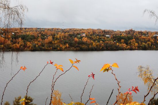 Golden autumn in Plyos
