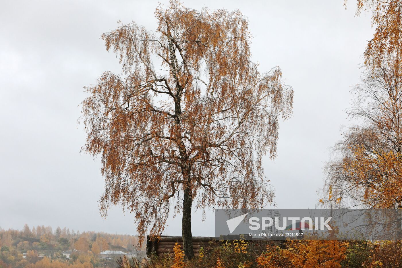 Golden autumn in Plyos