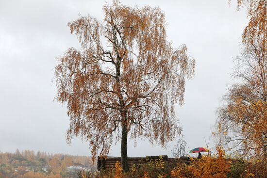Golden autumn in Plyos