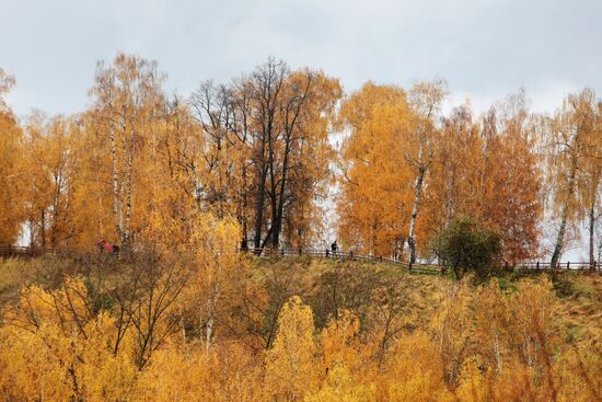 Golden autumn in Plyos