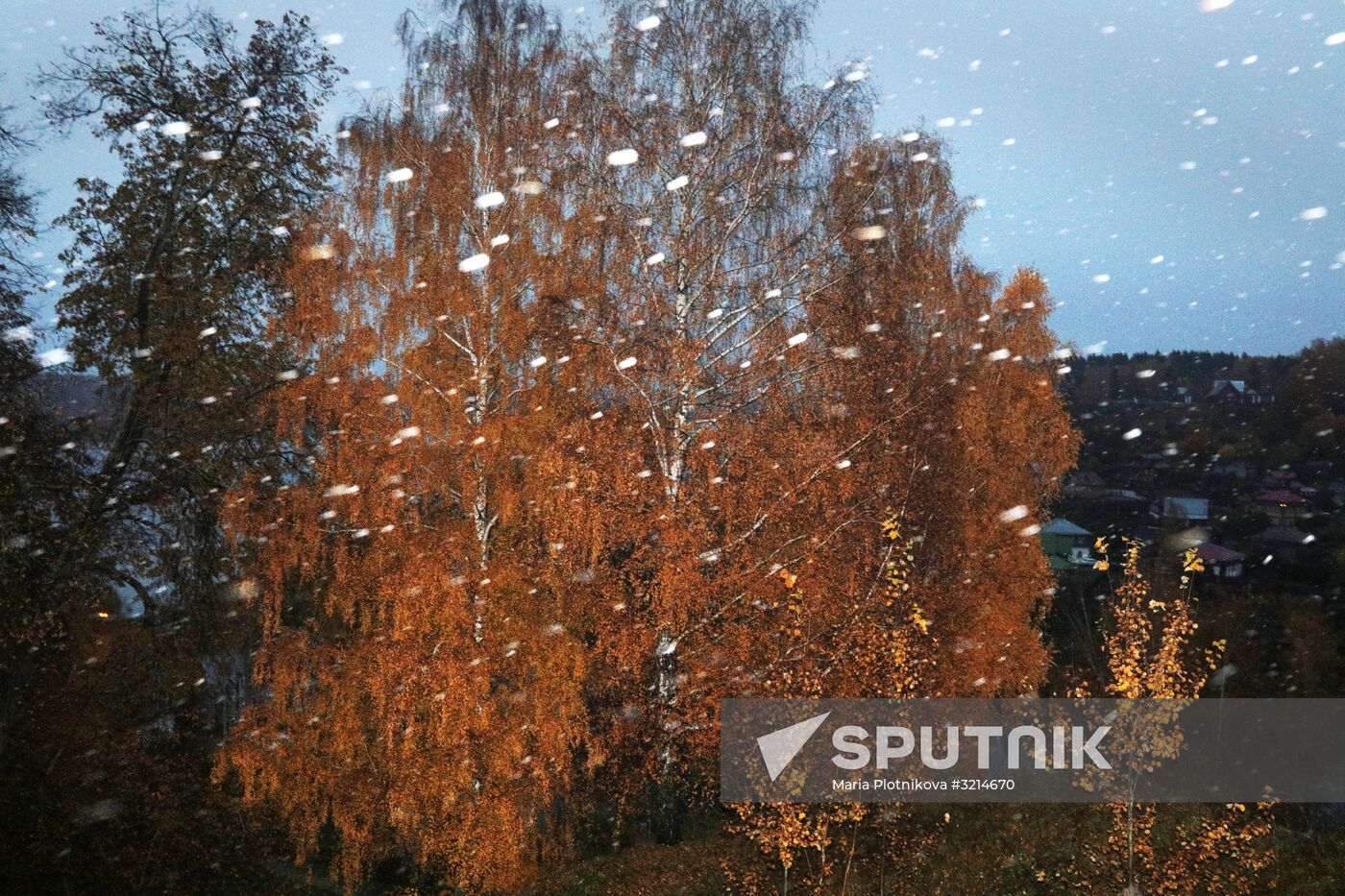 Golden autumn in Plyos