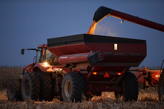 Corn harvesting in Primorye Territory